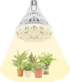 Descubre las mejores ofertas en bombillas LED para plantas