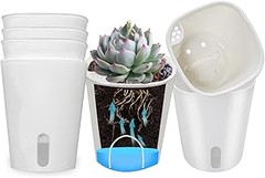 ** Reseñas y Opiniones de Usuarios sobre Macetas de Autorriego