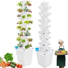 ¿Qué plantas son las mejores para cultivar en sistemas hidropónicos verticales?