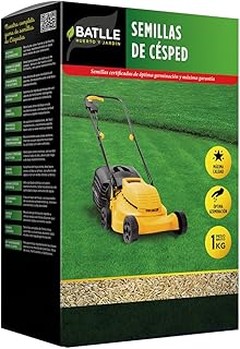 Análisis de precios de semillas de césped para jardines domésticos