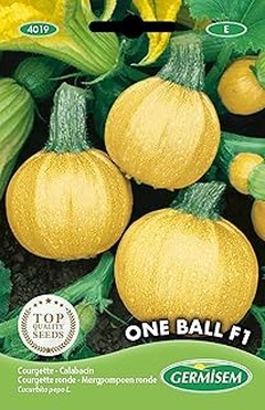 ** Principales problemas al cultivar calabacines y calabazas en casa