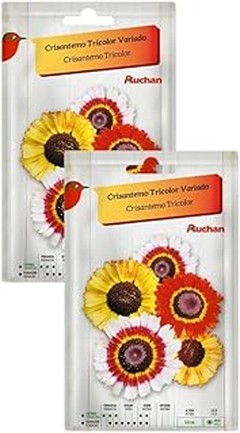 Errores frecuentes al cultivar flores en macetas y sus soluciones