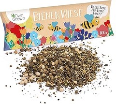 Cómo resolver problemas al cultivar flores perennes en tu jardín