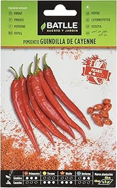 Problemas frecuentes al cultivar pimientos en macetas y sus soluciones