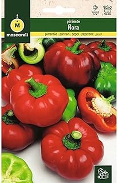 Errores habituales al sembrar semillas en balcones pequeños