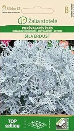 Errores frecuentes al sembrar semillas de flores anuales y cómo solucionarlos