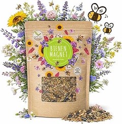 Errores frecuentes al sembrar semillas de flores para atraer polinizadores