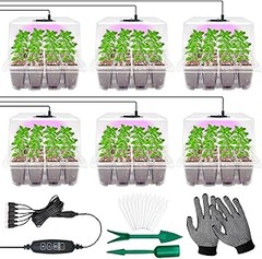Solucionando problemas típicos de mini invernaderos para semilleros