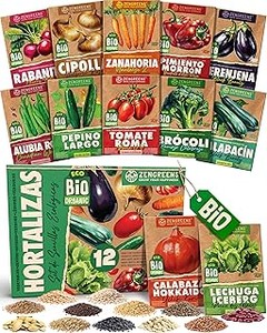 Descubre qué son las semillas de mix de ensaladas y sus beneficios