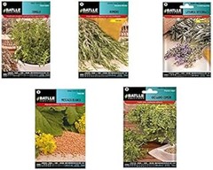 Comparativa: Semillas de hierbas aromáticas mediterráneas y convencionales