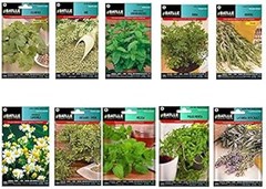 Propiedades medicinales de las semillas de hierbas aromáticas