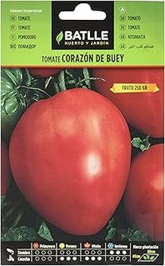Comparativa entre semillas de tomate orgánicas y no orgánicas