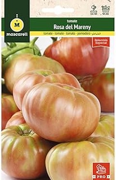 Variedades de semillas de tomate resistentes a plagas y enfermedades