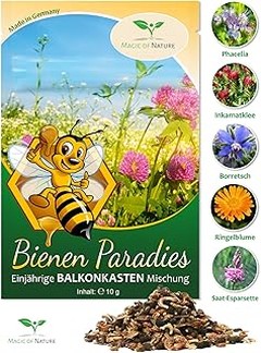 Inspiradoras Tendencias de Flores Anuales para Macetas en Jardines