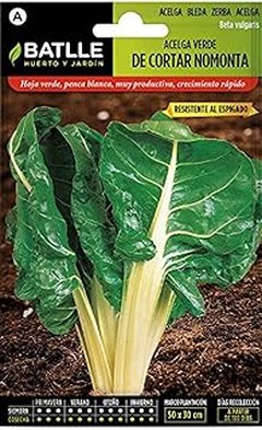 ¿Cuánto tardan en germinar las semillas de espinaca y acelga?