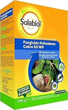 Conoce los diferentes tipos de fungicidas para tu jardín y huerto