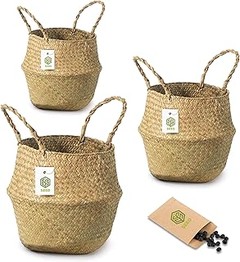 Descubre los diferentes tipos de maceteros decorativos para interiores