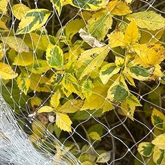 Descubre los tipos de mallas y redes antipájaros para tu huerto