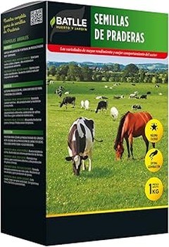 Descubre los tipos de semillas de césped para tu jardín doméstico