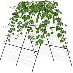 Descubre los tipos de soportes y celosías para tus plantas trepadoras