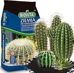 Conoce los tipos de sustratos ideales para cactus y suculentas