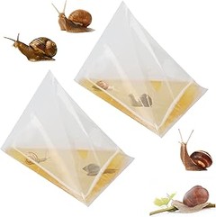 Trampas para caracoles y babosas en huerto