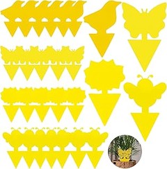 Trampas para mosquitos y moscas en jardín