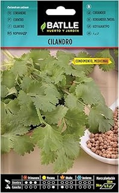 Descubre las Ventajas de Cultivar Aromáticas en tu Balcón