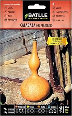 Descubre los beneficios de cultivar calabacines y calabazas en tu hogar