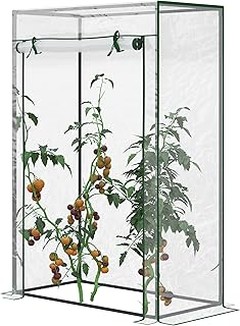 ** Descubre las ventajas de tener un invernadero decorativo en el patio