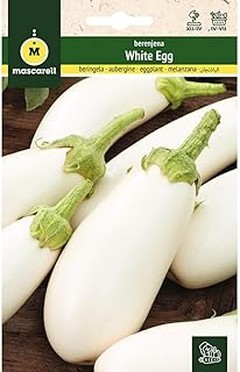 Beneficios de cultivar semillas de berenjena en tu terraza