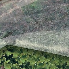 ** Beneficios y Desventajas de Usar Protecciones Contra Viento en Jardineras