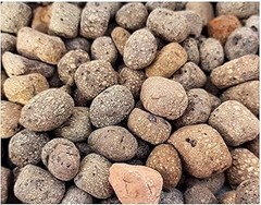 Ventajas y desventajas de las bolas de arcilla en macetas