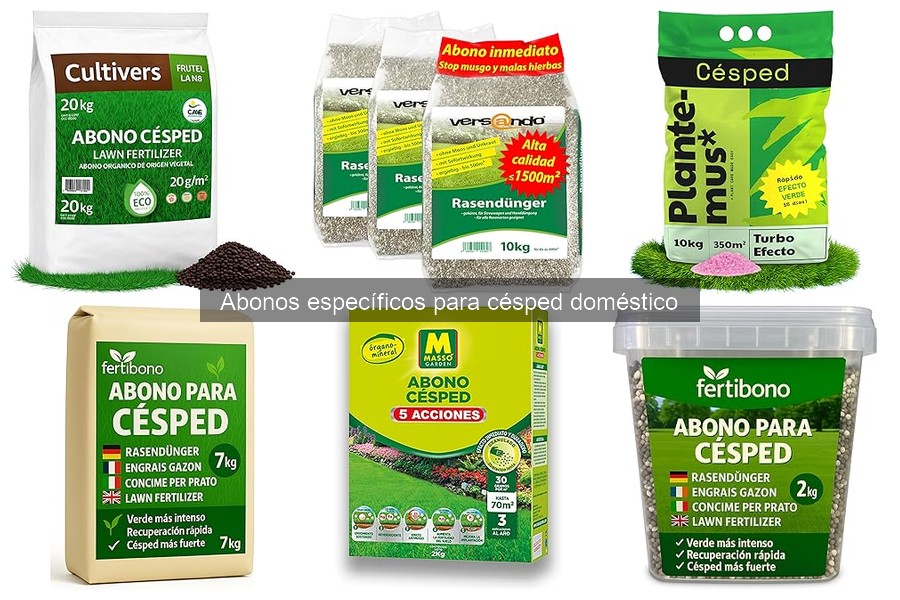 Abonos específicos para césped doméstico: ¿Qué son y para qué sirven?