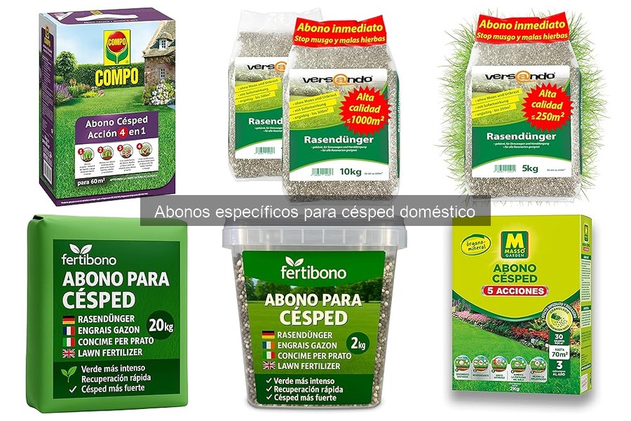 Abonos para césped según clima: Guía práctica y consejos