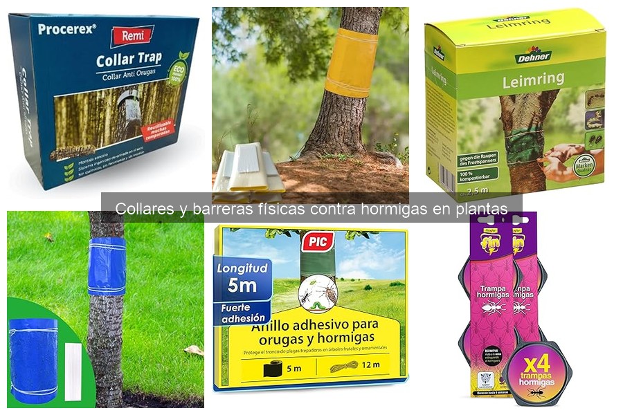 Alternativas a collares y barreras contra hormigas en plantas