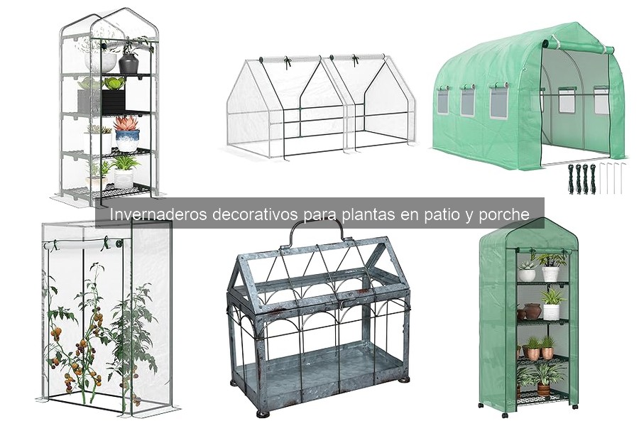 Alternativas a Invernaderos Decorativos para Plantas