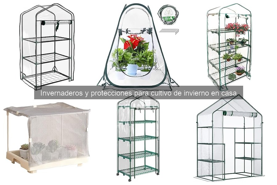 Alternativas a invernaderos para proteger cultivos en invierno
