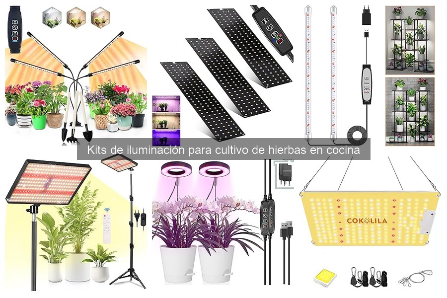 Alternativas a Kits de Iluminación para Cultivar Hierbas en Casa