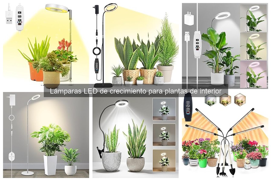 Alternativas a lámparas LED de crecimiento para tus plantas