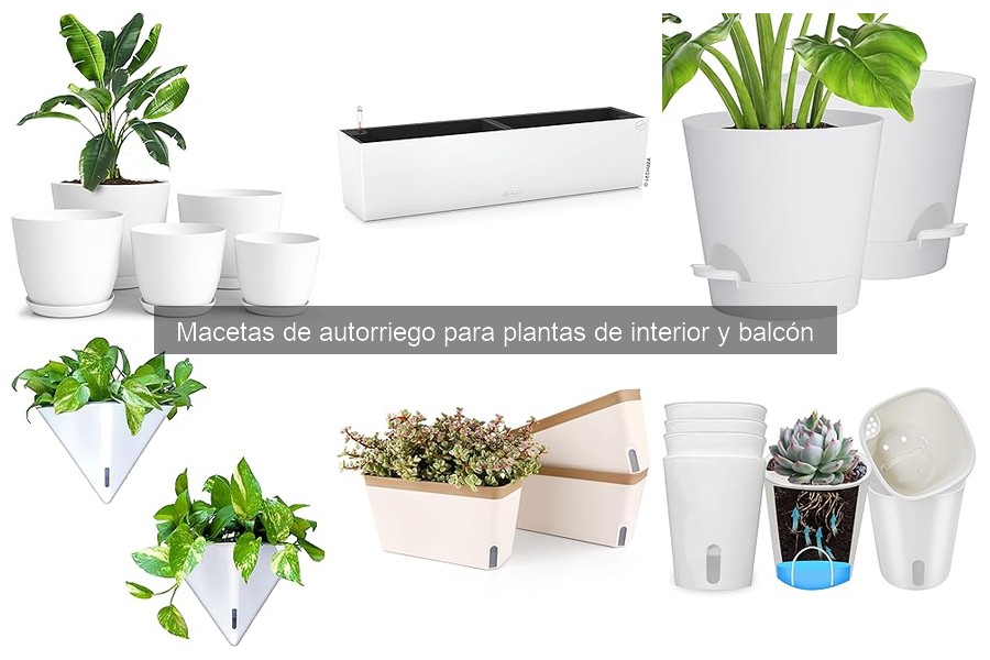 Alternativas a las macetas de autorriego para tus plantas
