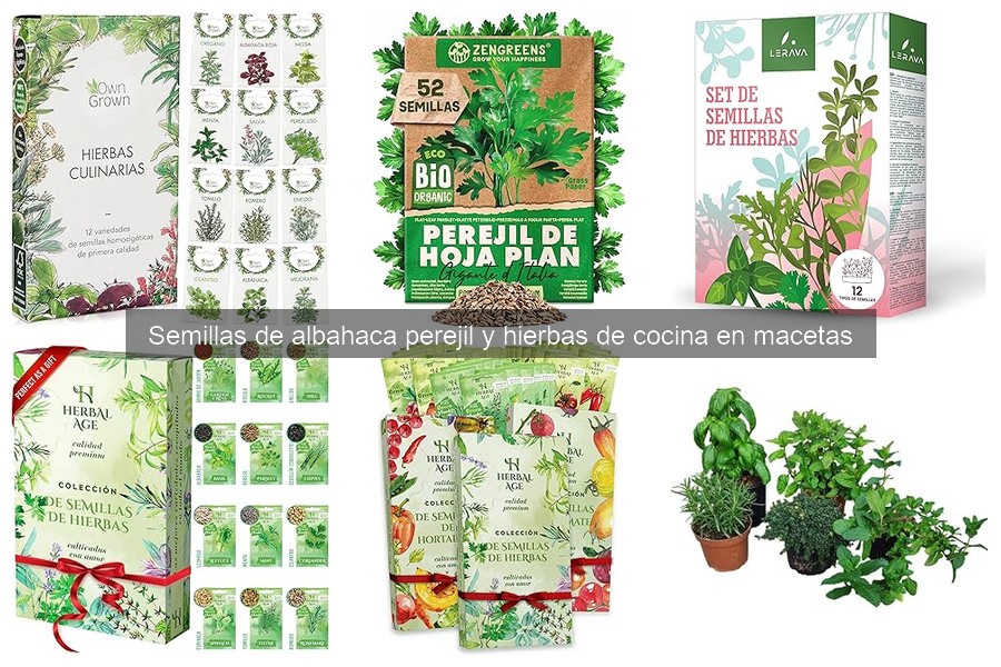 Alternativas a las semillas de albahaca para cultivadores