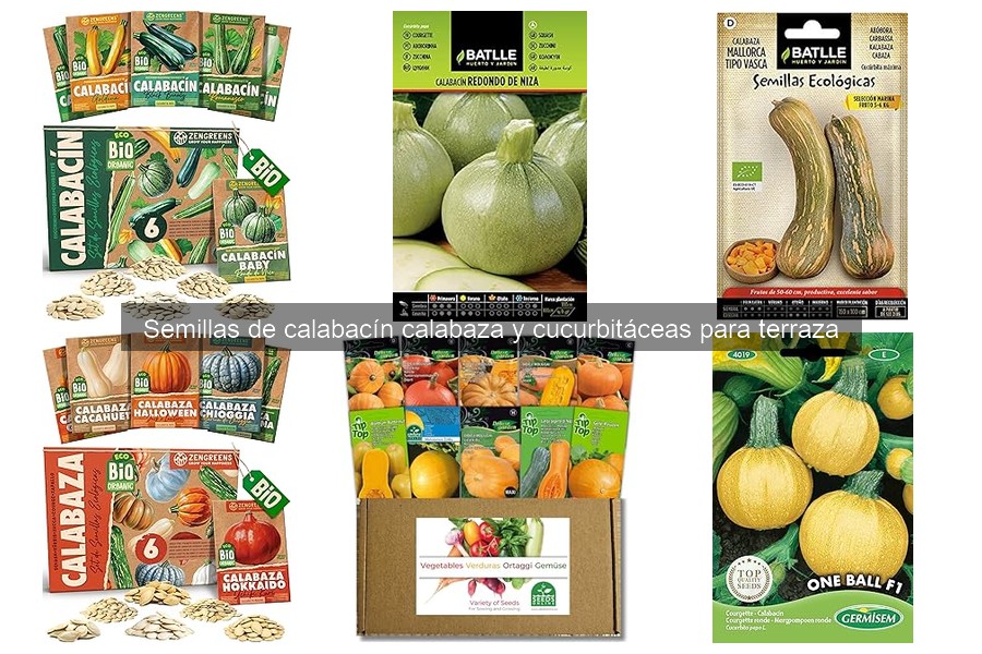Alternativas a las semillas de calabacín y calabaza