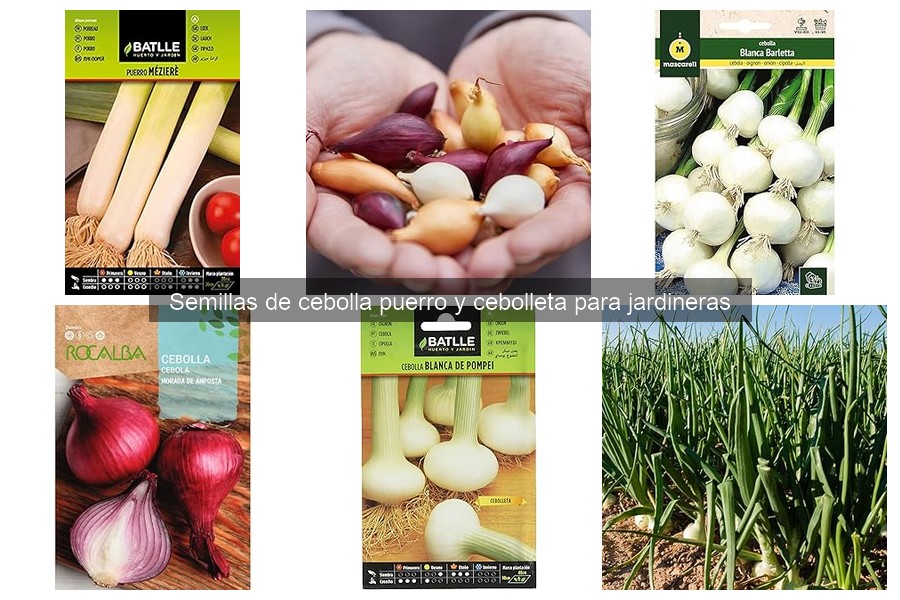 Alternativas a las semillas de cebolla puerro y cebolleta