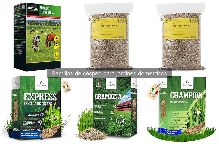 Alternativas a las Semillas de Césped para tu Jardín