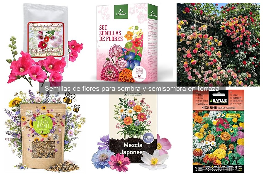 Alternativas a las semillas de flores para sombra en terraza