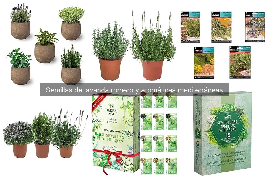 Alternativas a las semillas de lavanda para espacios pequeños