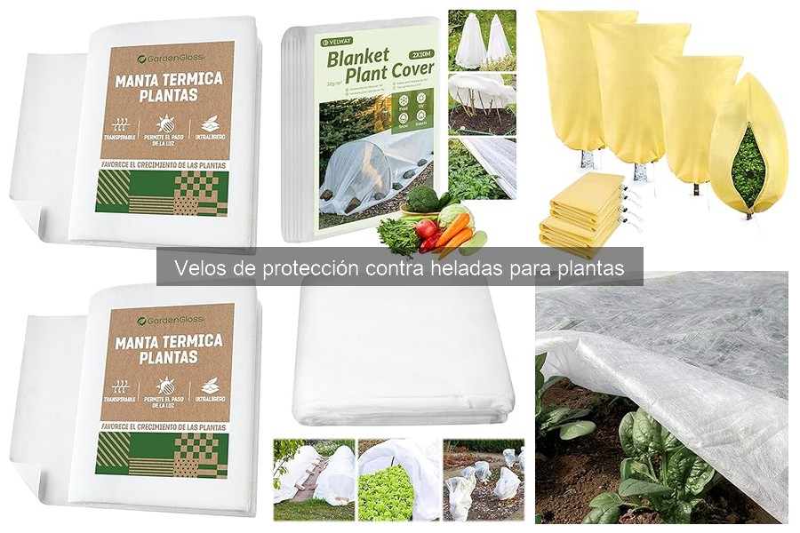 Alternativas a los Velos de Protección contra Heladas