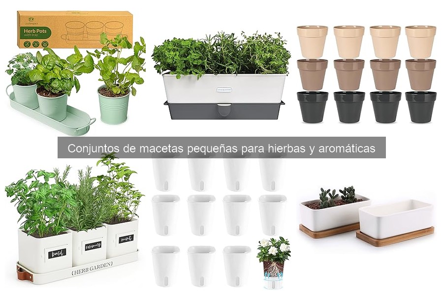 Alternativas a macetas para hierbas en espacios reducidos