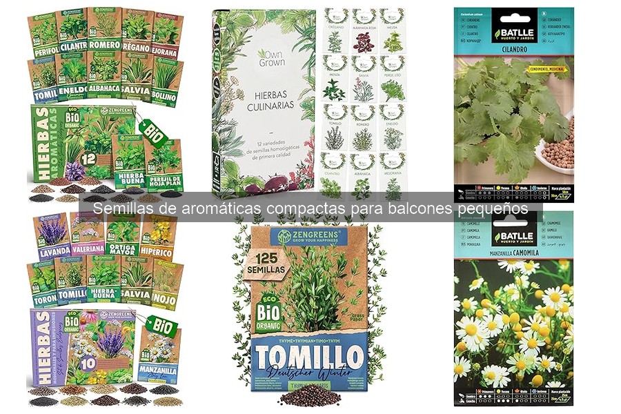 Alternativas a semillas de aromáticas compactas para balcones